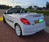 back
