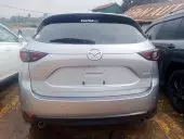 car Back