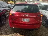 car Back