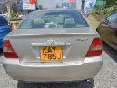 car Back