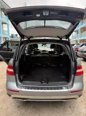 trunk