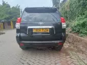 car Back