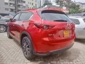 car Left Back