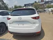 car Back
