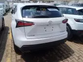 car Back