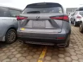 car Back