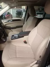 car Back