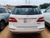 car Back