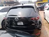 car Back