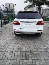 car Back