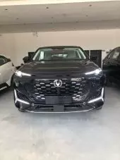 car Back
