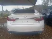car Back