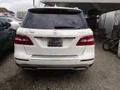 car Back