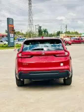 car Back