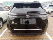 car Back