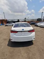 back