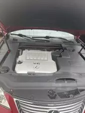 carBonnet