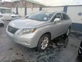 car Back