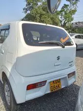 car Back