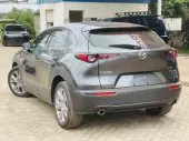 interiorBack