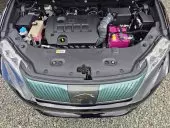 bonnet