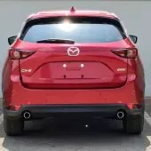 back