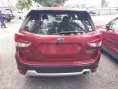 car Back