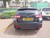 car Back