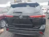 car Back