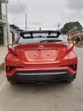 car Back