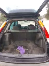 back