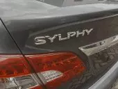 car Back