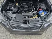 bonnet