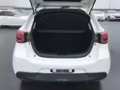car Back