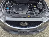 bonnet
