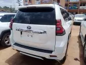 car Back