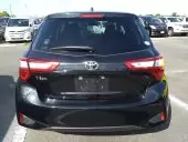 car Back