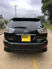 back