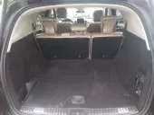 trunk