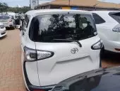 car Back