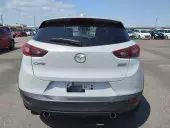 car Back