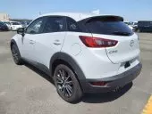 car Left Back