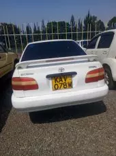 back