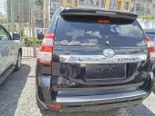 car Back