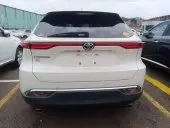car Back