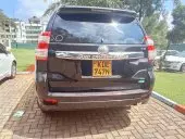car Back
