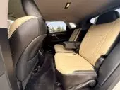 interiorBack