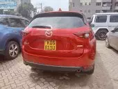 car Back