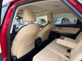 interiorBack