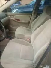 car Back